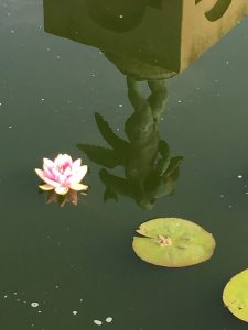York 45 - Castle Howard