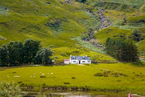 Glencoe