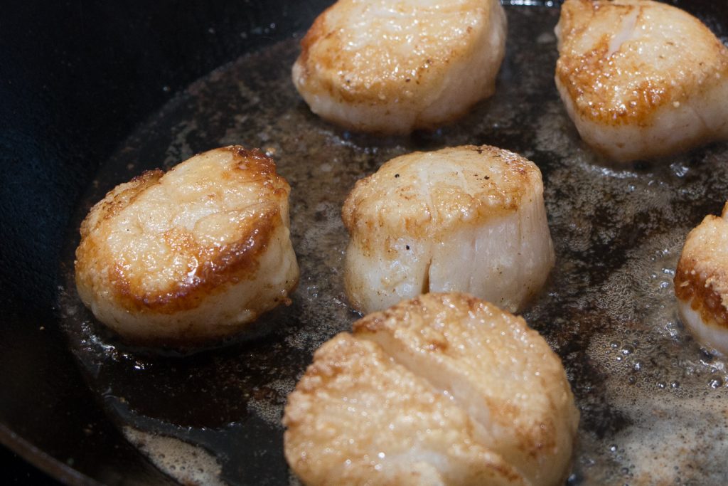 Food, Pasta, Scallops, seafood