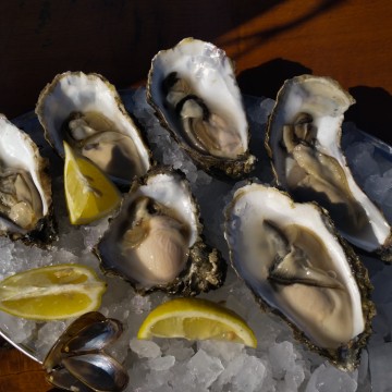 Food, Oban, Oysters, seafood
