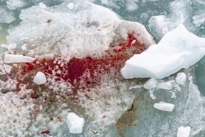 Alaska, Hubbard Glacier