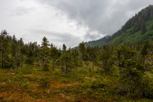 Alaska, icy Strait Point