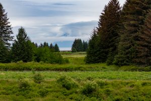 Alaska, icy Strait Point
