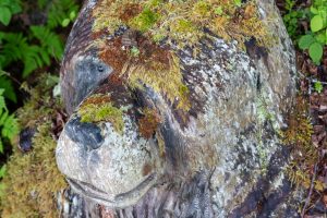 Alaska, icy Strait Point