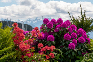 Alaska, Sitka